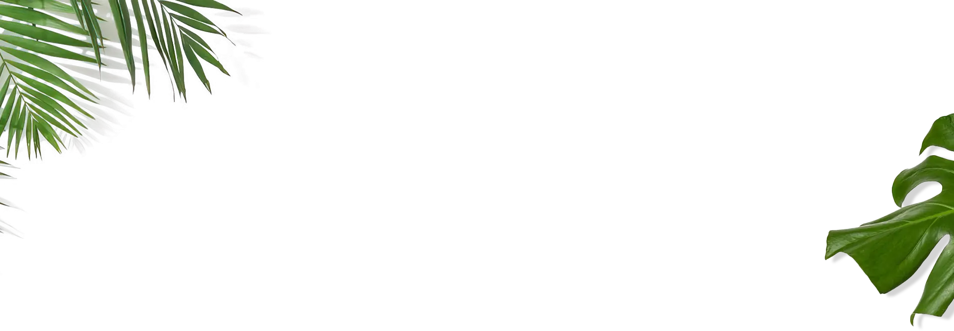 Plants bg