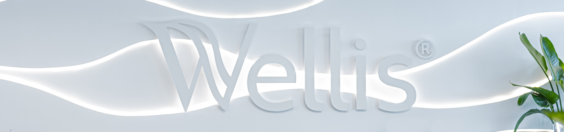 Wellis Hero Image